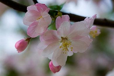 彭博社记者：《孤岛惊魂7》将是系列以来变动最大一作